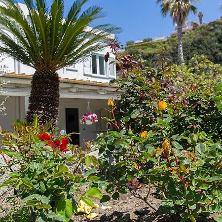 Villa Al Mare - Famiglia Calise Форио Экстерьер фото