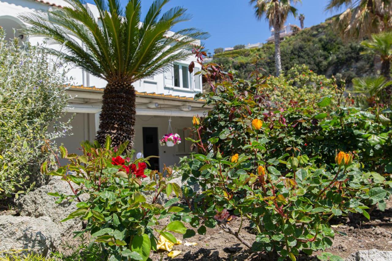 Villa Al Mare - Famiglia Calise Форио Экстерьер фото