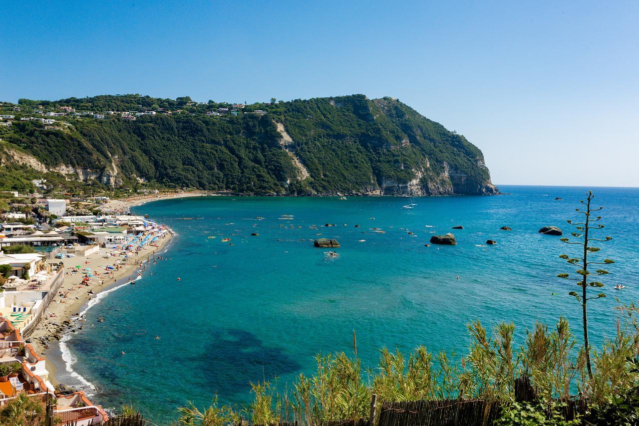 Villa Al Mare - Famiglia Calise Форио Экстерьер фото